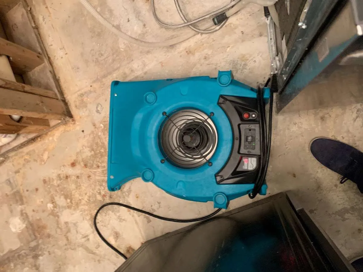 Air mover drying equipment for Mold Remediation & Removal in Lawrenceville